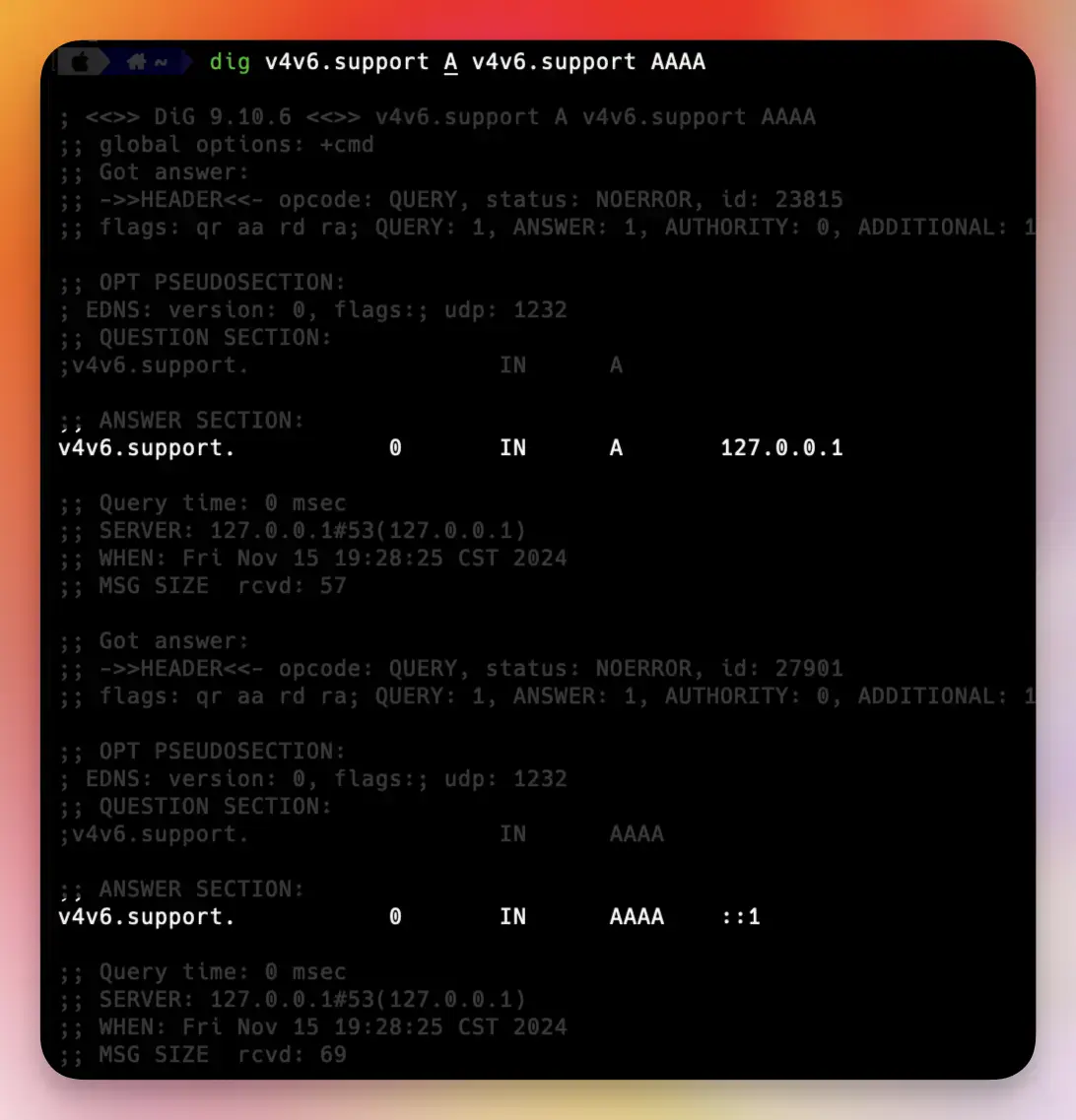 IPv4 and IPv6 Support